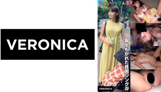 翼をもがれた貧困シングル