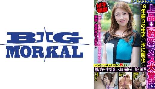 上品→【豹変】メス犬覚醒 16年振りの生チ◯ポに開花 駅弁・中出し・お漏らし絶頂！！ 久保今日子