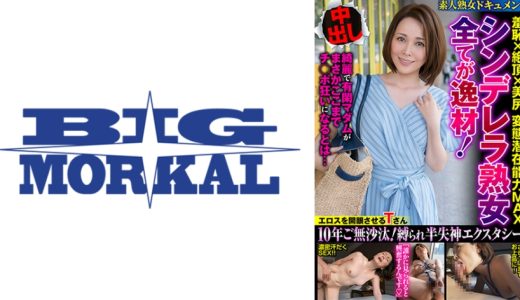 シンデレラ熟女 全てが逸材！ 羞恥×絶頂×美尻 変態潜在能力MAX 高瀬智香