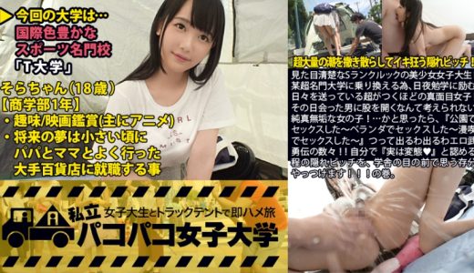 見た目清楚なSランクルックの美少女女子大生！某超名門大学に乗り換える為、日夜勉学に励む日々を送っている超がつくほどの真面目女子！その日会った男に股を開くなんて考えられない純真無垢な女の子！…かと思ったら、『公園でセックスした～ベランダでセックスした～漫喫でセックスした～』つって出るわ出るわエロ武勇伝の数々！！自分で『実は変態♪』と認める程の隠れビッチを、学舎の目の前で思う存分やっつけます！！！の巻。：私立パコパコ女子大学 女子大生とトラックテントで即ハメ旅 Report.014