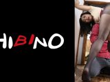 兄嫁の黒パンストパンチラは義弟の絶倫チ○ポを誘う・白峰郁美