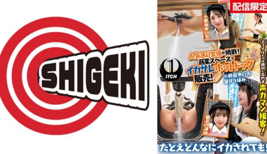 【配信限定】人気 AV 女優が挑戦！商業スペースでイカサレホットドッグ販売！ 小野坂ゆいか 望月つぼみ