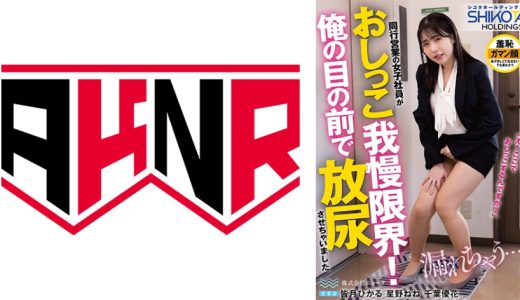 シコタホールディングス 株式会社ニョータ 同行営業の女子社員がおしっこ我慢限界！俺の目の前で放尿させちゃいました